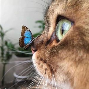 Meet your Posher, Andi